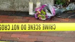 WARNING: GRAPHIC CONTENT - Highland Park suspect charged with 7 counts of murder