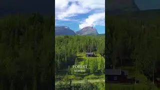 🇳🇴🌲This Place Feels Unreal 😱 Follow for daily hidden gems💎 #Norway #Forest #Village #Travel