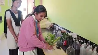 Creative hands-on activities performed by Assam Govt students.