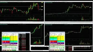 8.31 whack parabolic short