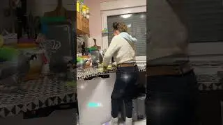 Lecker Schmecker! Loki Graupapagei #graupapagei #jako #lustige Videos #spa&szlig;iges