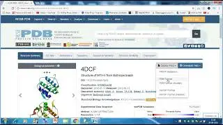 Split PDB Data in PyMol