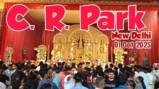 50 Years of Grandeur: Chittaranjan Park Durga Puja Committee's Spectacular Celebration.