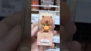 Capybara #capybara #forsaken #foryou #haul#miniso #shopping #shorts