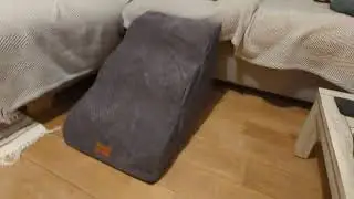 Dog Stairs/Ramp for Sofa Review 