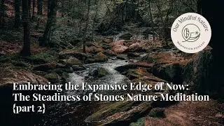 Embracing the Expansive Edge of Now: The Steadiness of Stones Nature Meditation {part 2}