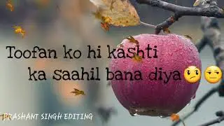 O saathi tere bina Baaghi 2 WhatsApp Status video
