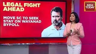 Rahul Gandhi Disqualified: What Are The Options For Rahul Gandhi? Take A Look