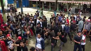 CINTA PEMBODOHAN - MARJINAL ( Cover Untulan )