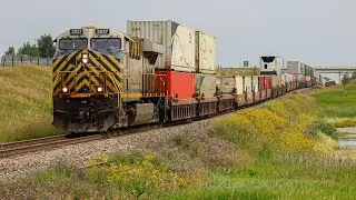 DETOUR!!! CN 3927 South - CN Z111 (Intermodal) - CN Three Hills Sub - Calgary, Alberta