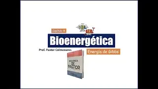 Energía libre de Gibbs, tipos de energía | Bioenergética parte IV