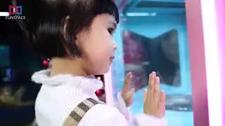Automatic cotton candy machine For Sale