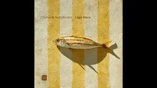J.Sintax & NoizyKnobs -- Lago Nero (Nicolas Barnes Remix)
