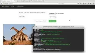 Multimodal Learning (NeuralTalk + VisualQuestionAnswering)
