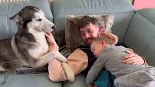 The MOST Attention Seeking Husky In The World!😂. [SHE GRABS ME!!!]