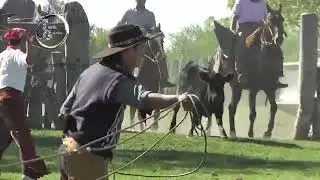 Young people roping cattle Part 6 Gringo Flores 2025