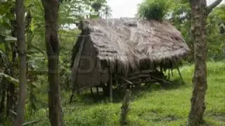 Tuvalu Gospel song: Faleumu