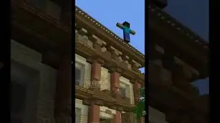 STEVE AS HELICOPTER HELICOPTER