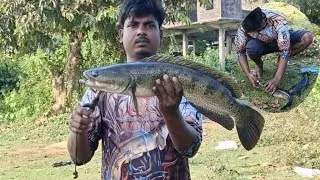 Is Season Ka Best Fishing Video ll fishing by fishaholic Deadly Hunt Rod ll frog fishing .