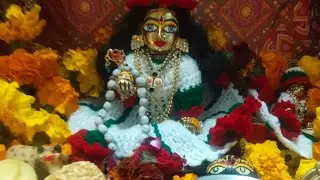मकर संक्रांति एकादशी की हार्दिक शुभकामनाएँ