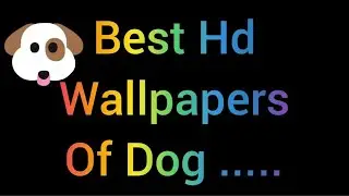 Dog's wallpaper!My lifetime happiness!  Black wallpapers!Dog lovers!Best dog's wallpapers!