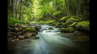 (dj ted style) up shit creek