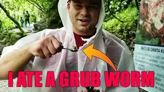 Ecuador Adventure 🇪🇨 | Giant Fish, Devil’s Cauldron, Swing to Heaven & Eating Chontacuro!