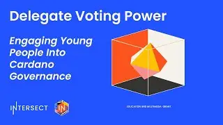 Engaging Young People Into Decentralized Governance: Delegate Voting Power
