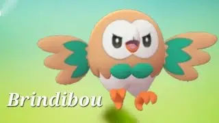 Brindibou Alola &eacute;voluer Effl&egrave;che ev Arch&eacute;duc #Arch&eacute;duc #Effl&egrave;che #Brindibou #pokemonalola