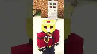 Bekommt ein Enderman SCHADEN, wenn er einen Kaktus aufhebt?!?! #minecraft #mythen #gaming #shorts