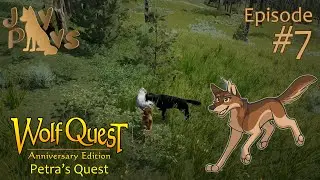 A Brutal Battle to the Death?? | WolfQuest: Petra's Quest #7
