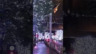12 Gatsu no Illumination - Minako Yoshida