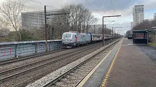 Tog i Rødvore | Trains at Rødovre