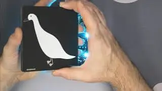 Reviewing a Duckboard from Doodboard. Mechanical Keyboard Macropad. Boba Linear Thock.