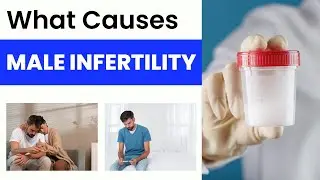 Male Infertility की समस्या क्यों होती है? I Cause of Male Infertility | Dr Amit Bansal