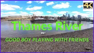 Thames River London on Low Tide - Walking Tour London [ 4k ]