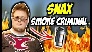 SNAX W SWOIM ŻYWIOLE 