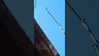 Антенна полуволновой диполь для УКВ ЧМ передатчика.