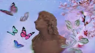 Butterfly - Vaporwave
