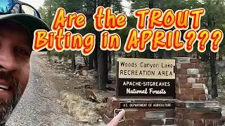 Early Season Trout Action!  Woods Canyon Lake Fishing Report April 2025 | Fishing Tips and Tactics