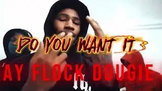 KAY FLOCK X DOUGIE B-CHOP(Audio SHXCKMIZZY MIX)