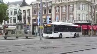 Buses in the Hague, Netherlands