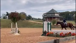 TX Rose Horse Park Show Medal round Jr Hunter 2'3