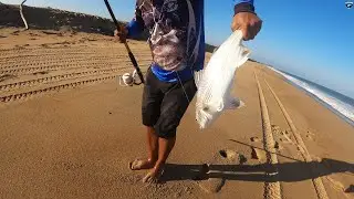 ELE PEGOU UM PEIXE GIGANTE RARISSIMO, ALGUEM SABE DIZER QUE PEIXE É ESSE? | Pescaria em regencia ES