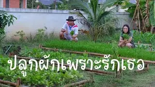 วิธีทำแปลงผักจากไม้ไผ่ กว่าจะเป็นแปลงผัก เกษตรพอใจ ปลูกผักเพราะรักเธอ