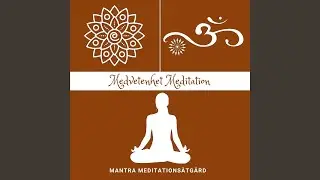 Medvetenhet Meditation