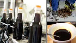 Chinese Soy Sauce Made from Human Hair