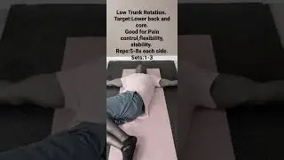 Low Trunk Rotations (for Lower back pain, flexibility  and core stability)