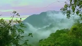 Amazons Invisible Flying Rivers (legendado)