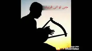 كان ودى نلتقى